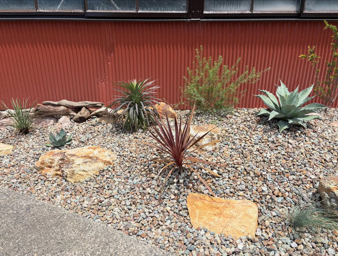 ロックガーデン植栽配置の様子